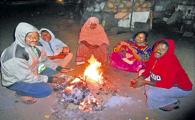 Cold intensity for another 10 days in Andhra Pradesh - Sakshi