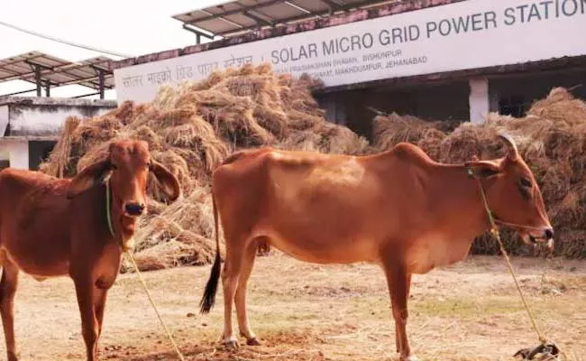 Dawn Of Solar power stations In Indian Rural Area - Sakshi