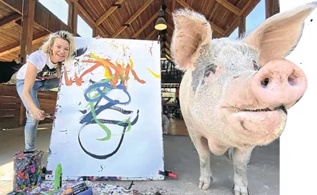 Pigcasso the piggy painter selling its latest artwork for rs20,20,396.33   - Sakshi