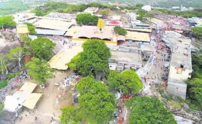 Kondagattu Hills Have Number Herbal Medicinal Trees At Karimnagar - Sakshi