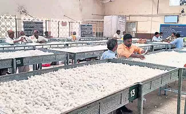 Silk worms Record Price In Madanapalle Market Andhra Pradesh - Sakshi