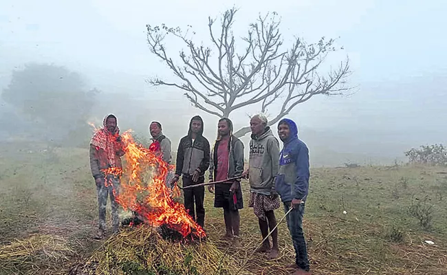 Cold intensity is increasing day by day in Andhra Pradesh - Sakshi