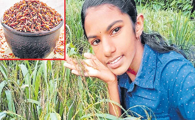 Kerala Teen farmer Banupriya cultivating Red Rice - Sakshi