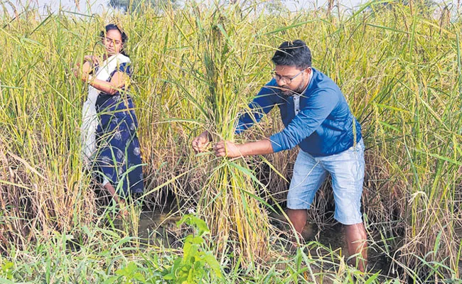 Organic Farming: Techi Madani Ravi, Sunanda Soil Farming With CVR Method - Sakshi