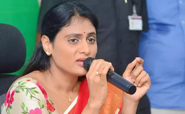 YS Sharmila Responds to Q News Poll Posted About KTR son - Sakshi