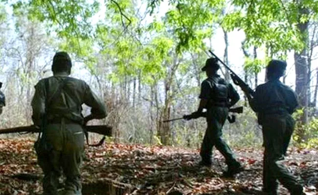 6 Maoists Killed in Encounter At Telangana Chhattisgarh Border - Sakshi