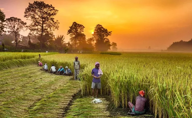 PM Modi to Release 10th Instalment of PM KISAN Fund on Jan 1 - Sakshi