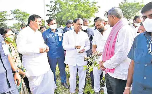 KCR Urges Paddy Farmers For Crop Change In Telangana - Sakshi