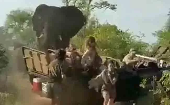 Angry Elephant Attacks Safari Vehicle In South Africa - Sakshi