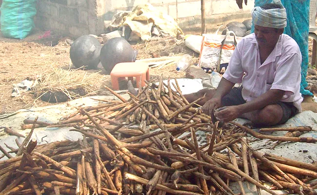 Preparation And Benefits Of Palmyra Sprout - Sakshi