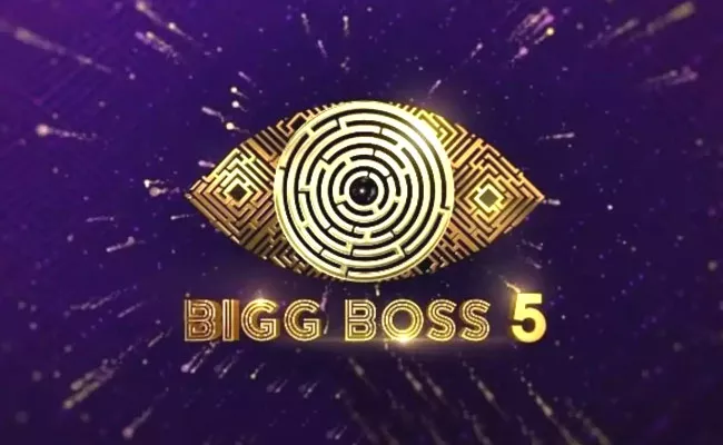 Bigg Boss Telugu 5 TRP Rating: 6.2 Crore People Watch Grand Finale - Sakshi