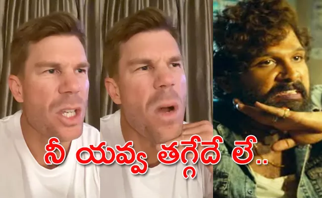 Australian Cricketer David Warner Recreates Scene Of Pushpa, Video Viral - Sakshi