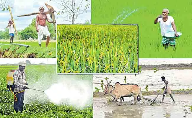 Sakshi Guest Column Dileep Reddy On Farmers Facing Critical Situation In Agriculture