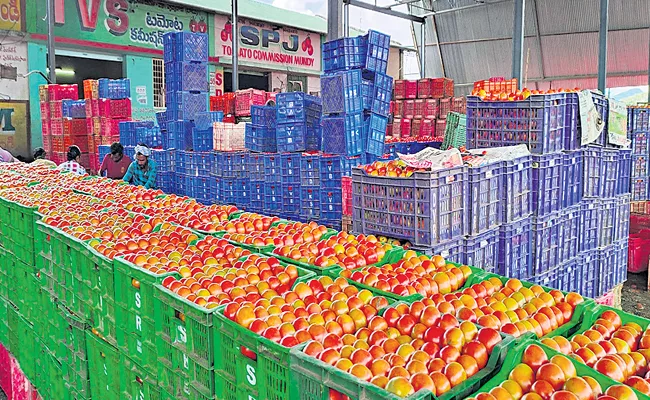 Tomato Prices Soar Again In Madanapalle Market‌ - Sakshi