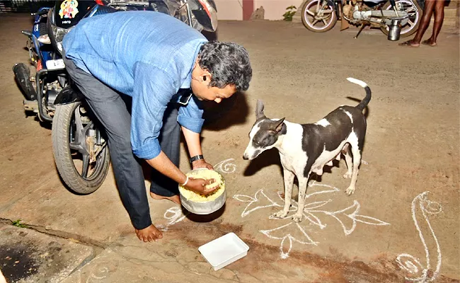 Nellore Couple Feeding To Street Dogs And Other Pet Animals - Sakshi