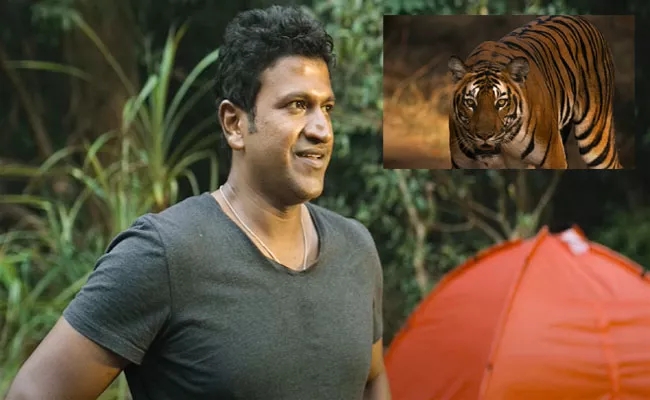 Puneeth Rajkumar Wildlife Show Gandhada Gudi Teaser Released - Sakshi