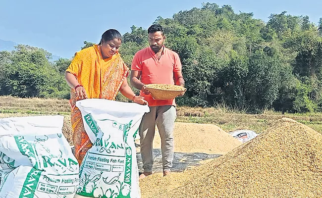 Araku MP Goddeti Madhavi Farming in Her Agricultural Land at Koyyuru - Sakshi