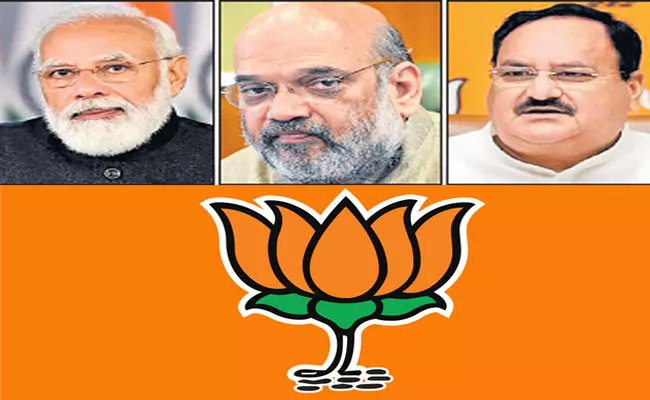 BJP has grown into a formidable force - Sakshi