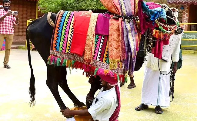 Sankranthi: Bairi Sarangapuram Gangireddu Families Famous Srikakulam - Sakshi