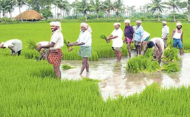 Balineni Srinivasa Reddy comments on YSR Free electricity to Farmers - Sakshi