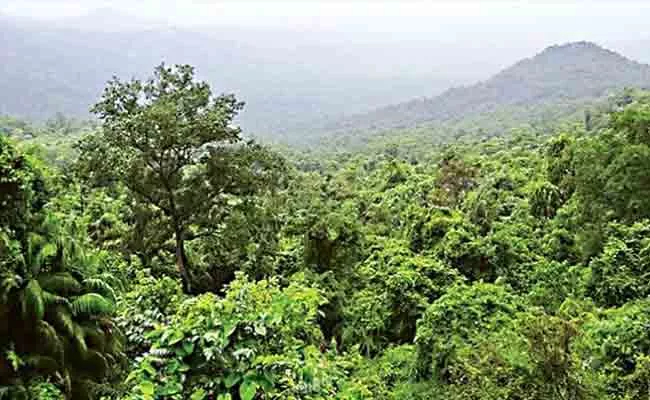 Forest Green Cover Increased In Telangana Hyderabad - Sakshi