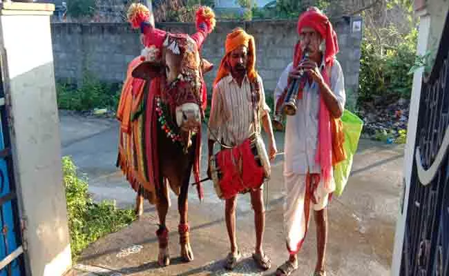 Sankranthi Basavanna Gangireddulu Ataalu in Villages - Sakshi