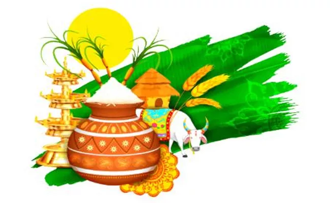 Makar Sankranti Festival History Significance And Celebrations - Sakshi