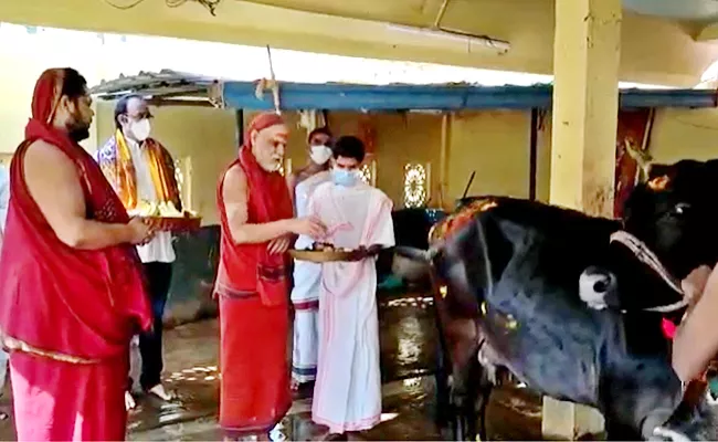 Gopuja at Visakha Sharada Peetham - Sakshi