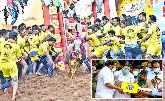 Rained Gifts At Alanganallur Jallikattu In Tamil Nadu - Sakshi