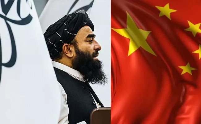 Taliban Govt Asks China To Help International Recognition - Sakshi