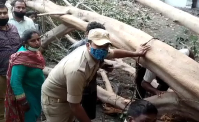 Tree Fall Down Children Deceased Khammam District - Sakshi