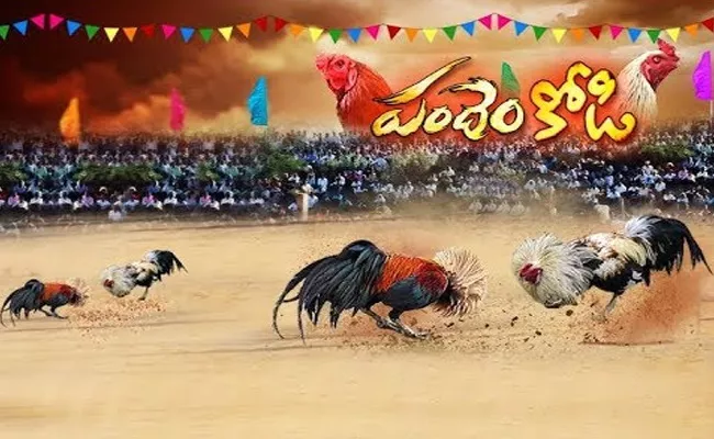 Sankranthi Special Kodi Pandalu West Godavari District - Sakshi