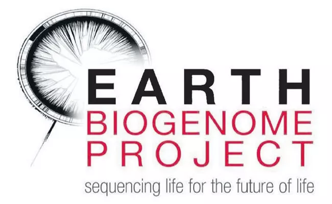 Earth BioGenome Project begins genome sequencing in earnest - Sakshi