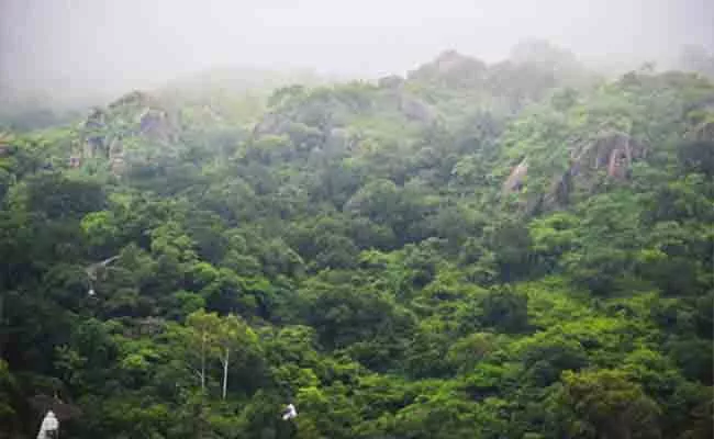 Sakshi Editorial On ISFR Report Reveals Massive Forest Cover Loss In India