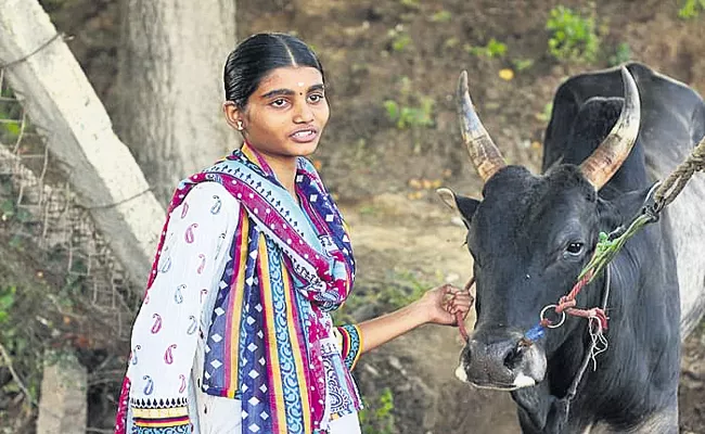 Tamilnadu Womens Challenging Mens In Jallikattu - Sakshi