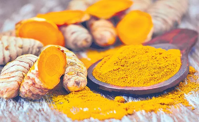 CCMB Scientists Derived From Turmeric To Treat Cancer - Sakshi