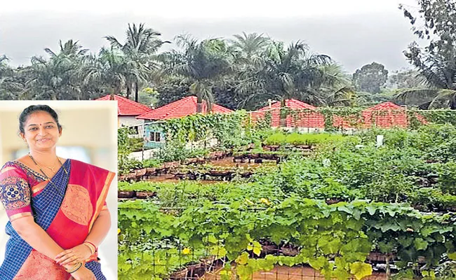 School Campus was Turned Into an Organic Farm - Sakshi