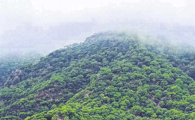 Largely increased forest Area in Andhra Pradesh - Sakshi