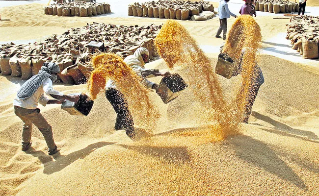 80 lakh metric tonnes of grain produce in kharif season At Andhra Pradesh - Sakshi