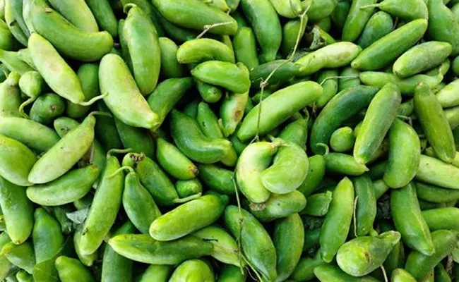 Amazing Health Benefits Of Ivy Gourd Dondakaya In Telugu - Sakshi