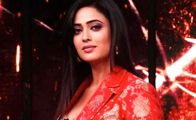 Shweta Tiwari Controversial Statement on New Web Series Promotion - Sakshi