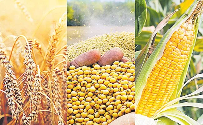 Telangana State Exports Of Agricultural Crop Production Rising - Sakshi