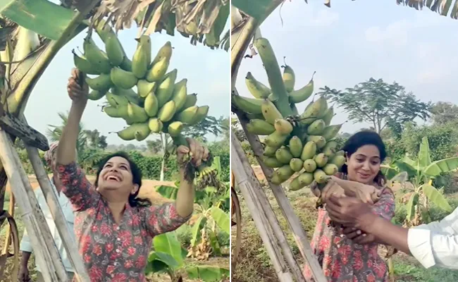 Singer Sunitha Shares Her Farming Video, Goes Viral - Sakshi