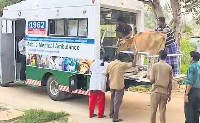 Animal Husbandry Dept Mobile Ambulatory Clinics In Andhra Pradesh - Sakshi