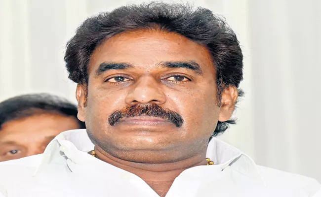 Pinnelli Ramakrishna Reddy Comments On TDP - Sakshi