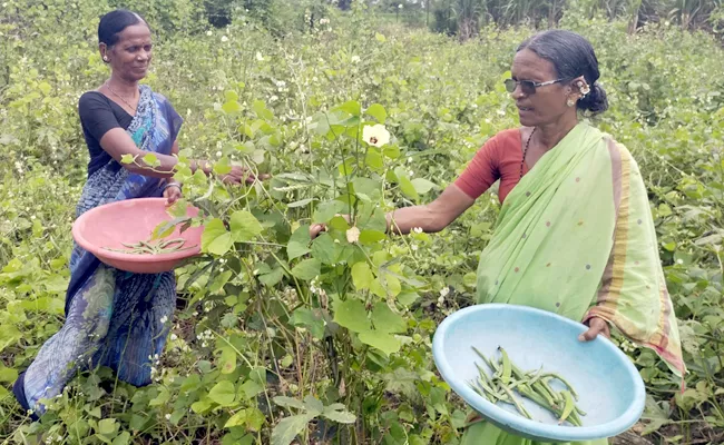 Inspirational Story Of Two Sisters Earning Money By Agriculture Nizamabad - Sakshi