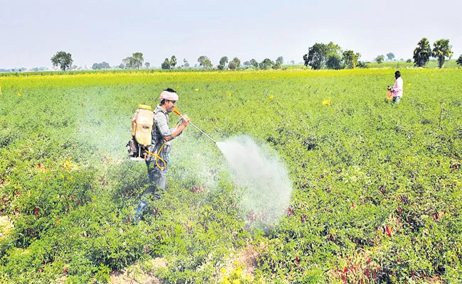 Graduate Turns Organic Farmer - Sakshi