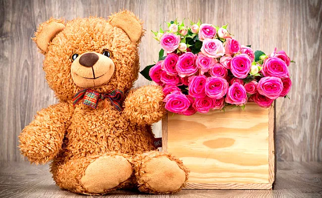 Valentines day Week: Teddy day significance and love - Sakshi