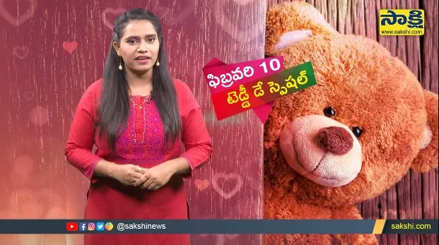 Sakshi Special Video On Teddy Day 2022