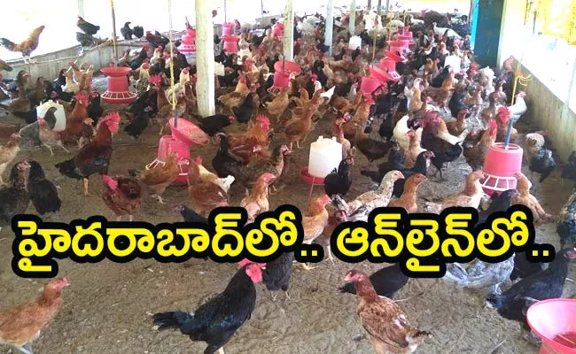  Natu kodi Meat Available In online First Time In Hyderabad - Sakshi